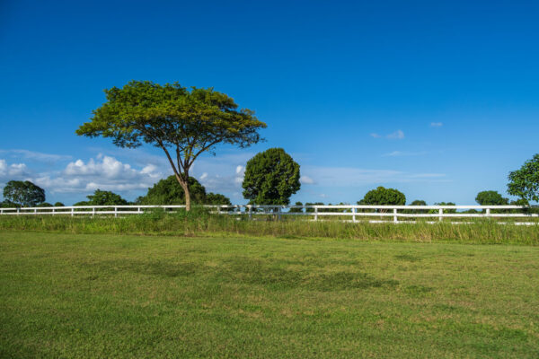 Доминикана. Кап Кана (Cap Cana) Доминикана. Кап Кана (Cap Cana)