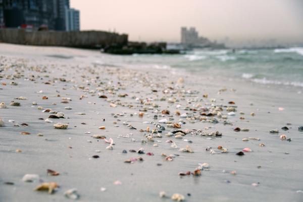 Аджман Пляж