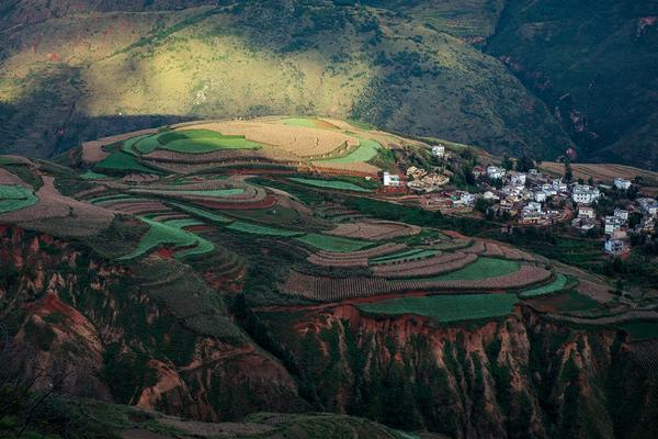 МОЯ БОЛЬШАЯ КИТАЙСКАЯ СВАДЬБА
