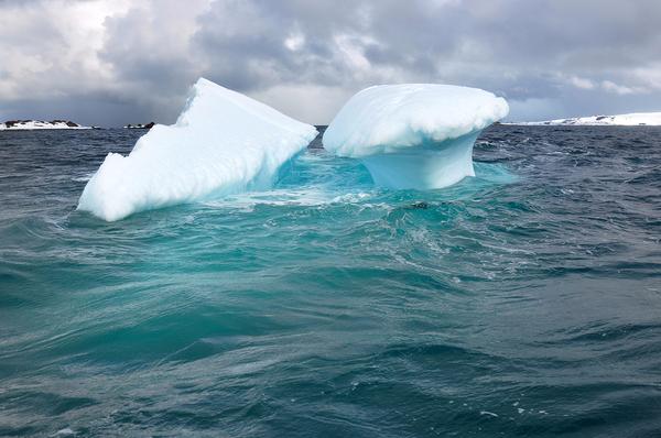 Купальный сезон в&nbsp;Антарктике
