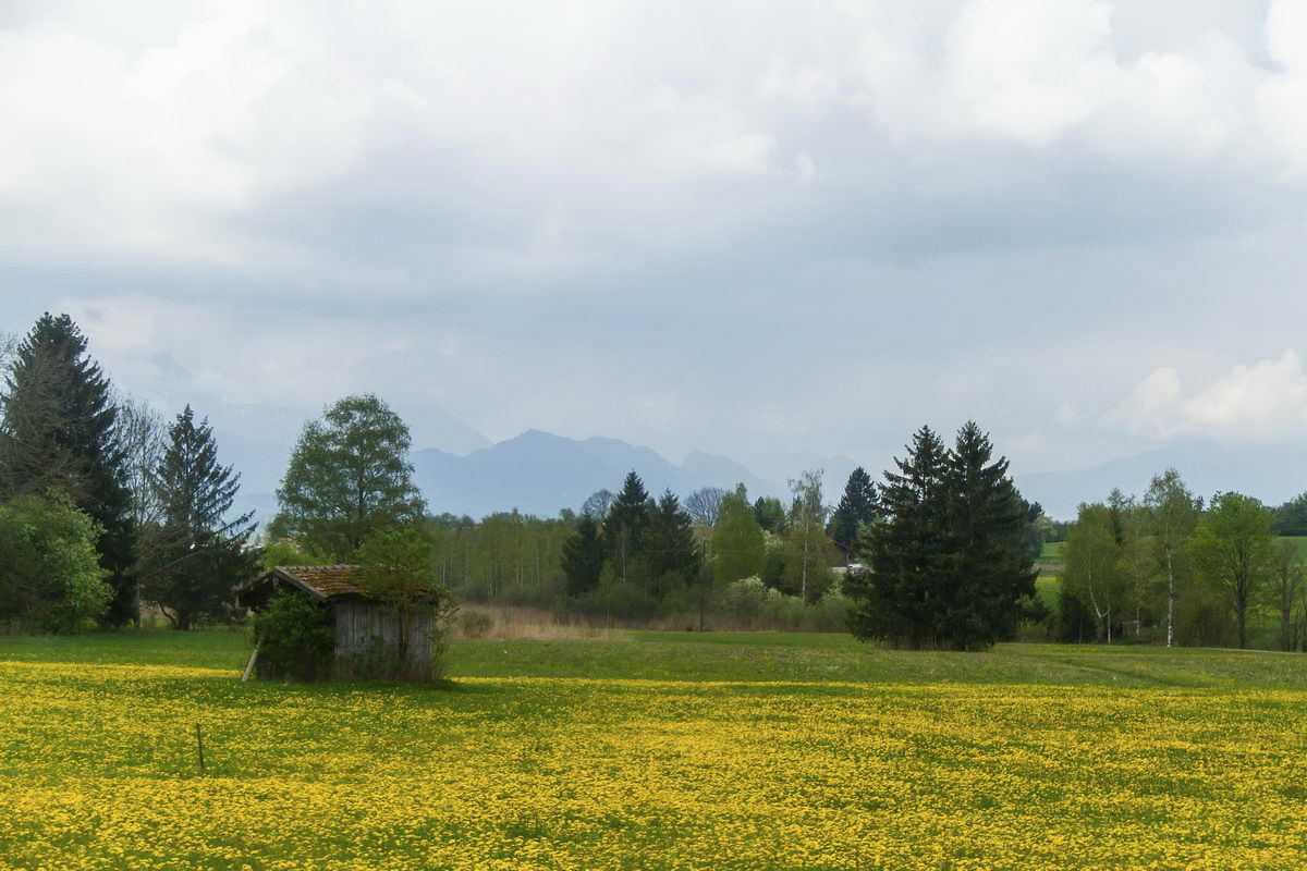Замки Баварии, Германия