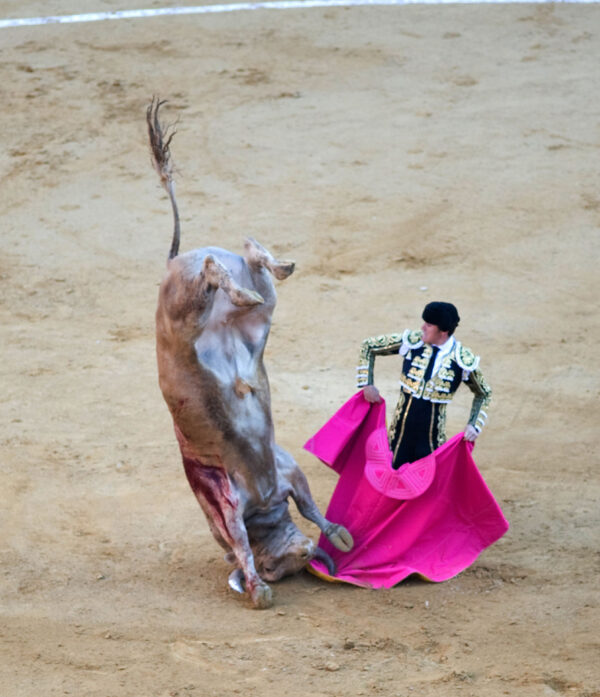 Las Fallas&nbsp;&mdash; весёлое огненное безумие в&nbsp;Валенсии.