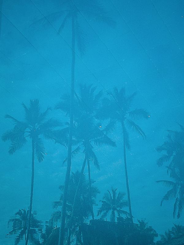Шри Ланка, Диквелла