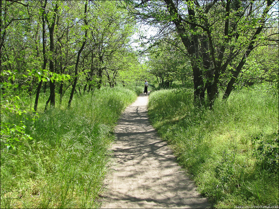 Древние кольца Хортицы