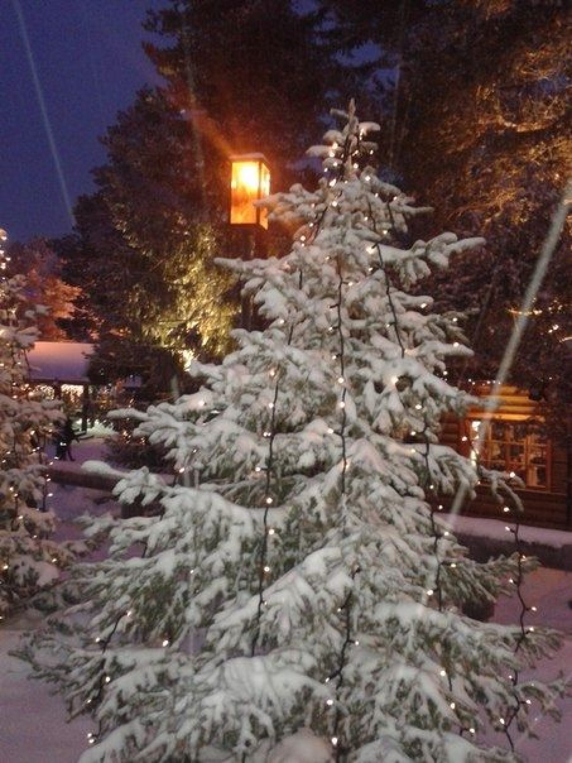 Новогодний Каникулы 2015 Новогодний Каникулы 2015