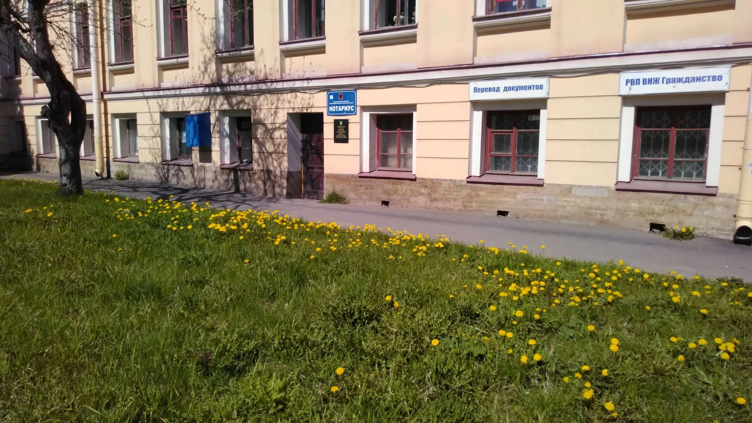 Прогулка по городу Ломоносов в Ленинградской области