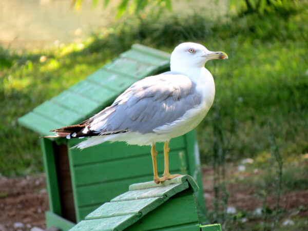 Пешком по&nbsp;Анталье