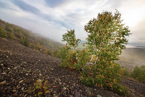 Цветные сны Карабаша