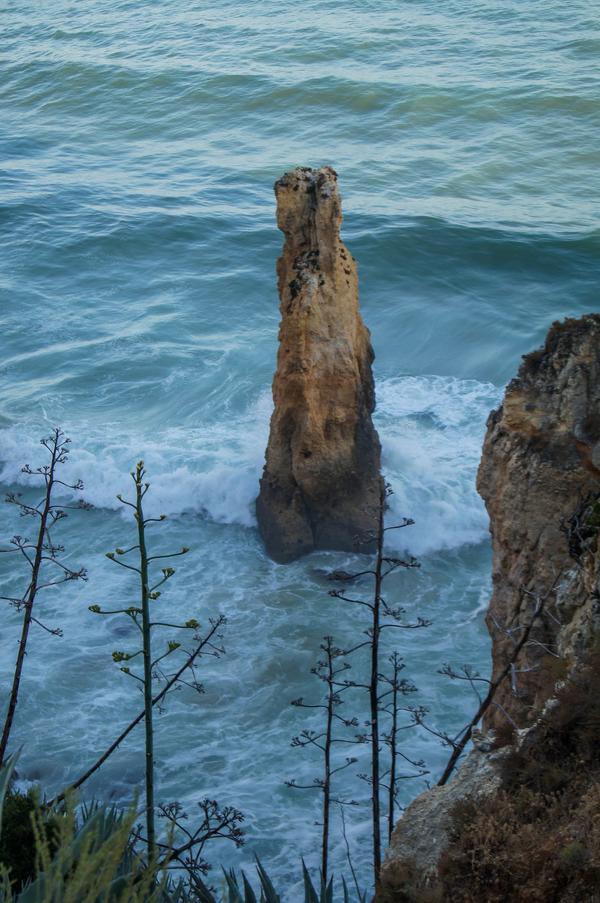 Лагуш