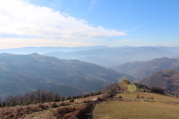 Деревня Кустурицы&nbsp;&mdash; Кустендорф&nbsp;&mdash; Сербия&nbsp;&mdash; Serbia