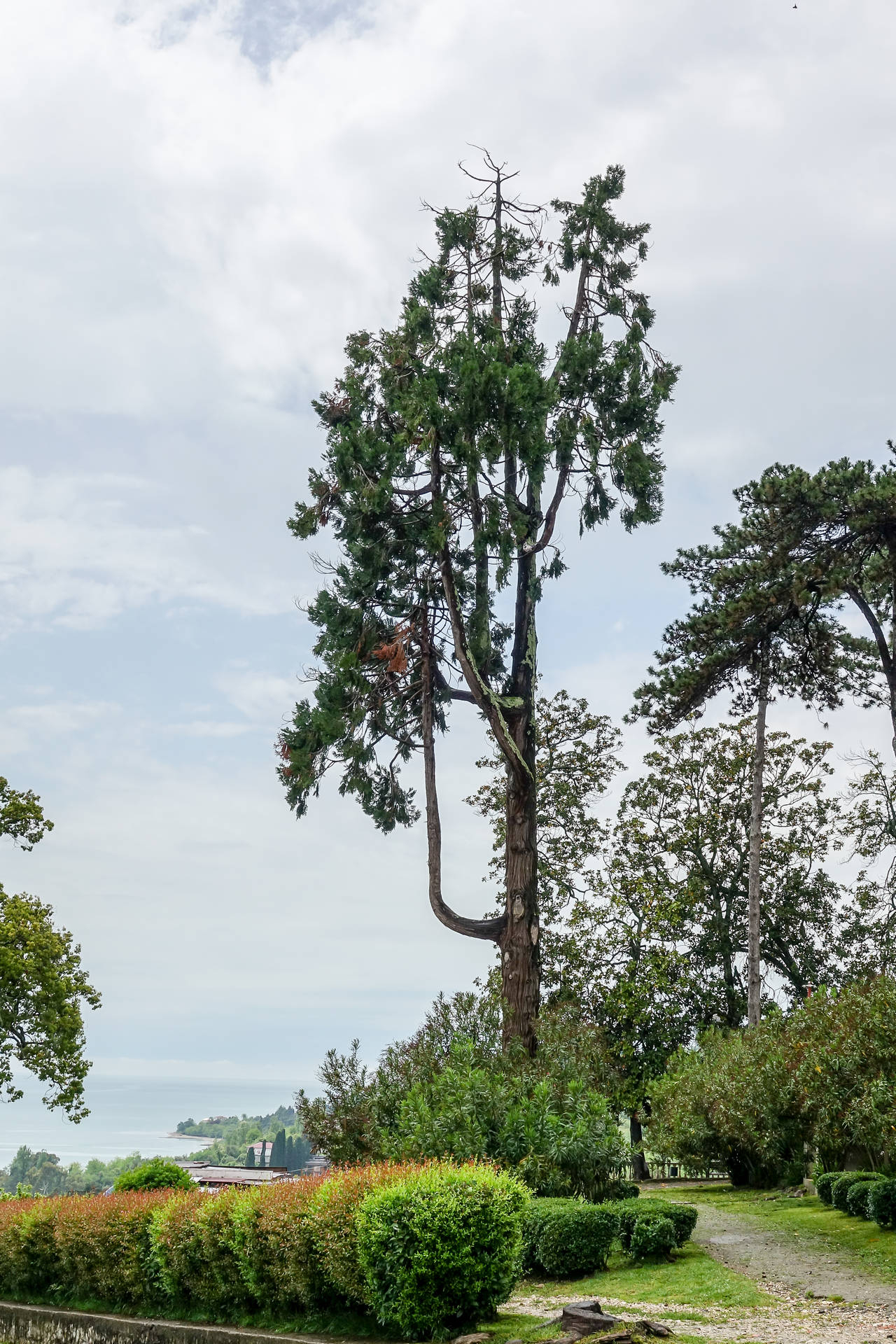 Абхазия. Новый Афон. Часть 1