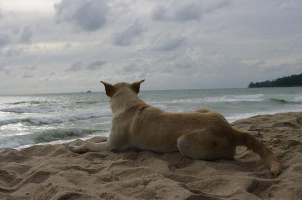 Таиланд. Облачный край.