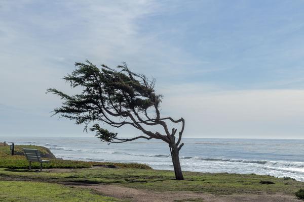 Зверушки Зверушки