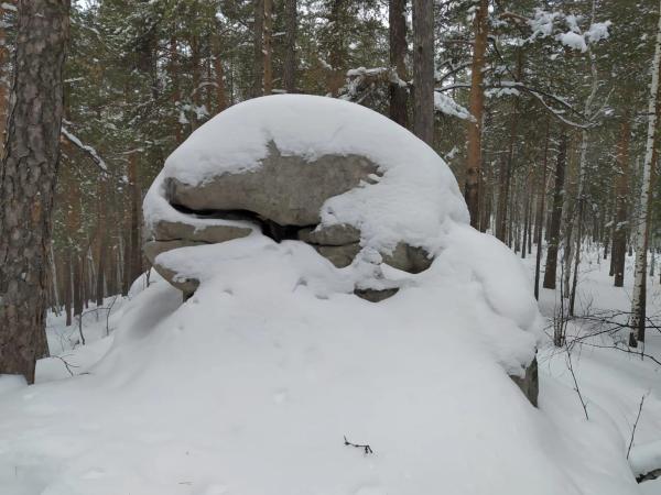 Прогулялись по следам лося Прогулялись по следам лося