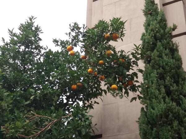 Испанские приключения. Барселона