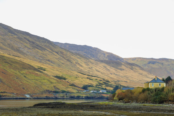 Все, что я знаю об Ирландии, мама, — Это Jameson, Guinness и Connemara. И Мохер! Все, что я знаю об Ирландии, мама, — Это Jameson, Guinness и Connemara. И Мохер!