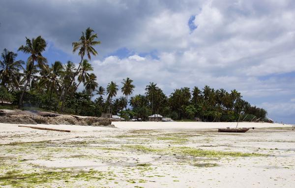 Занзибар — чудо-остров, жить на нем легко и просто Занзибар — чудо-остров, жить на нем легко и просто