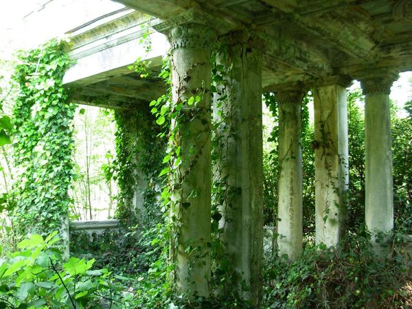 Гагра. Цветы и&nbsp;руины. Часть 2