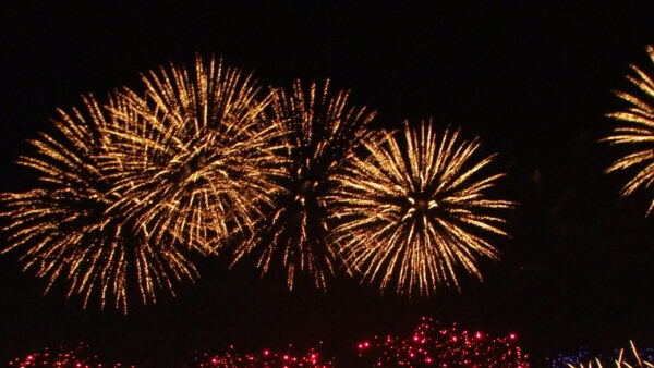 День первый.