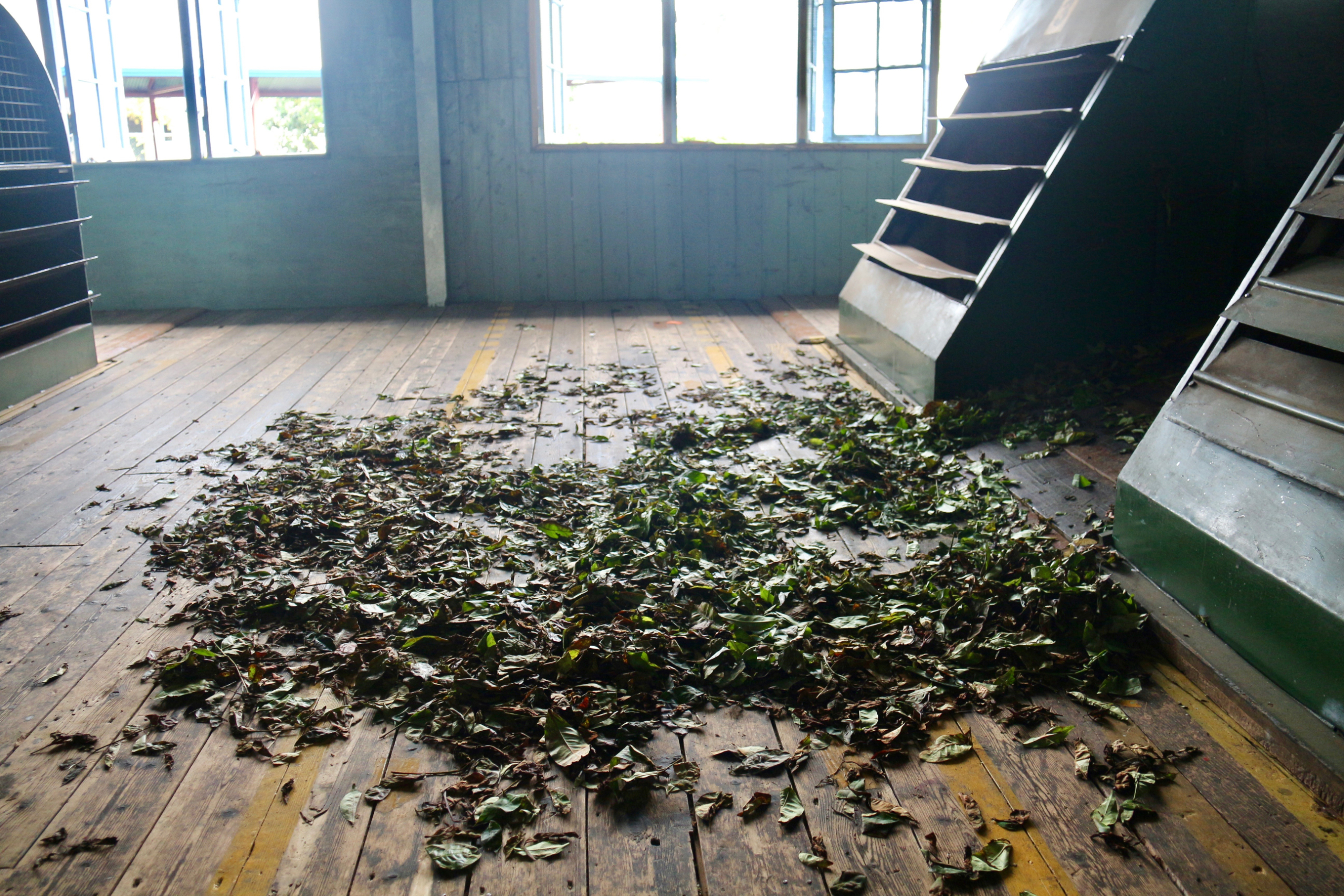 Blue Field Tea Factory.